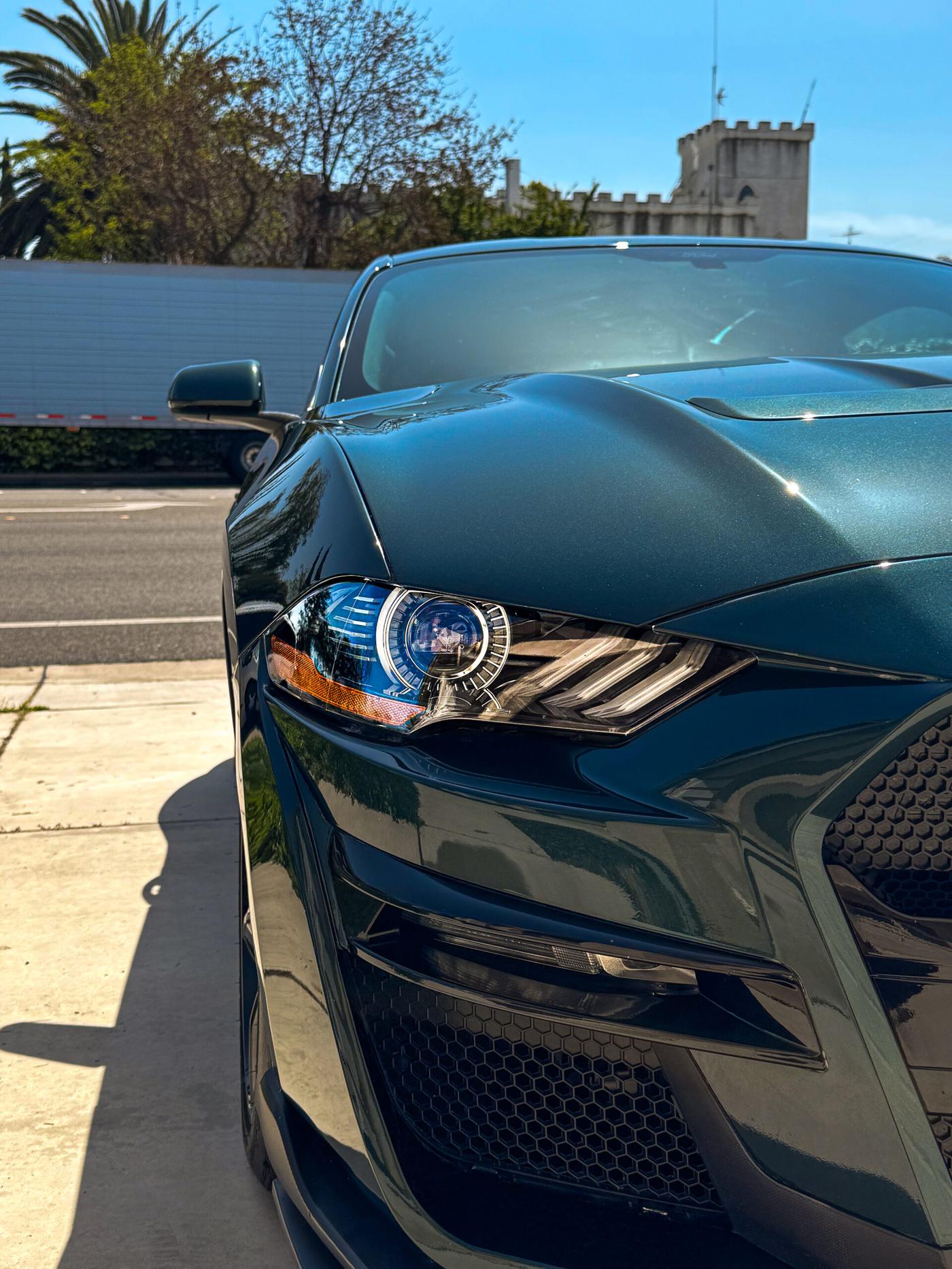 Paint Correction by Precision Auto Detailing